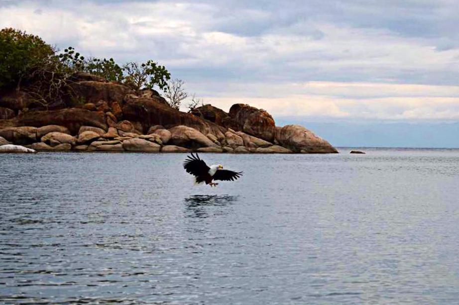 Mgoza Lodge Cape Maclear エクステリア 写真